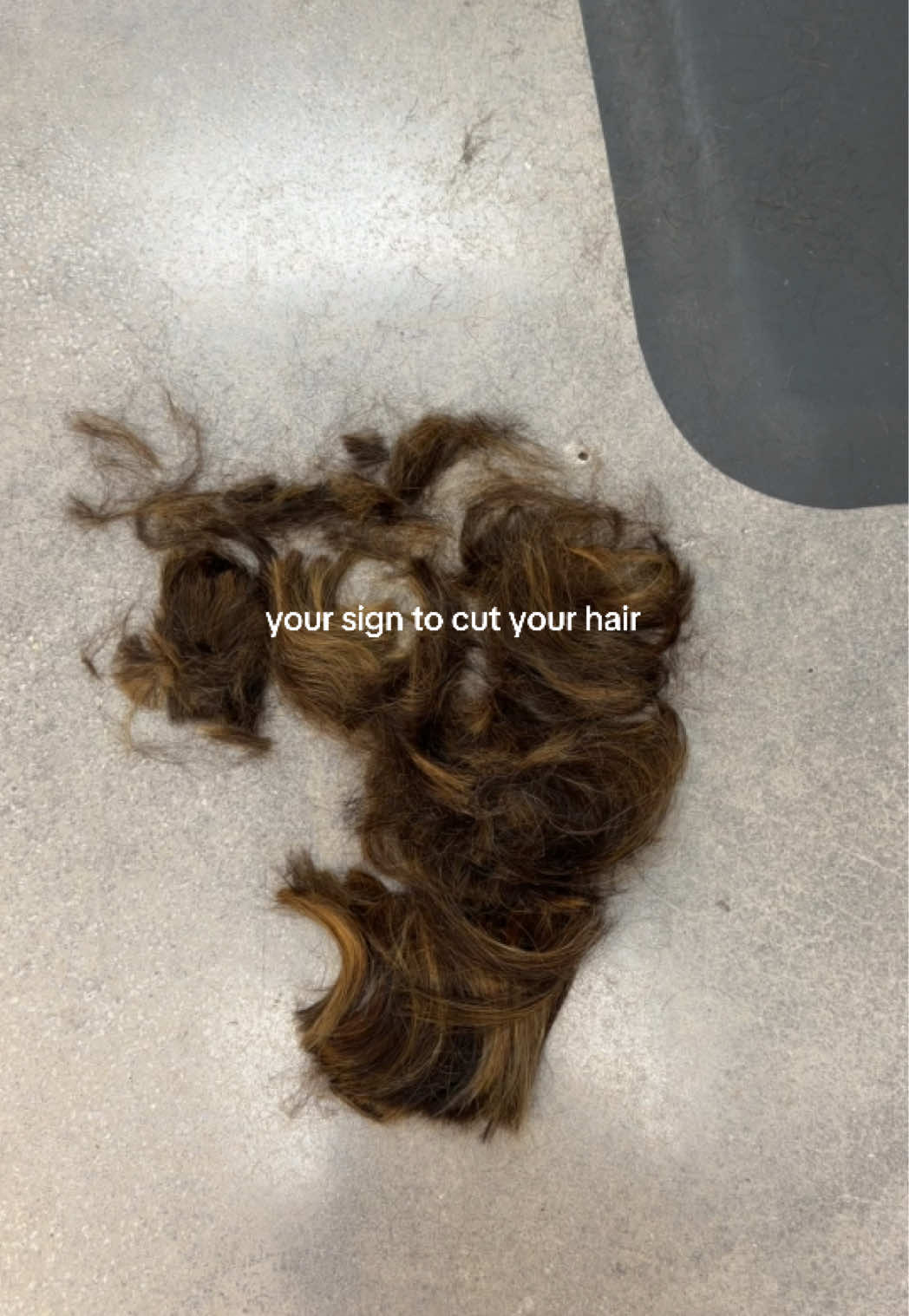 @Alejandra Bolander