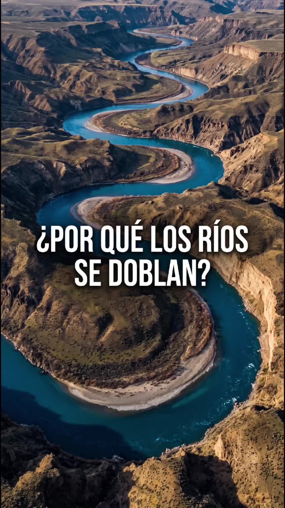 @Solo datos