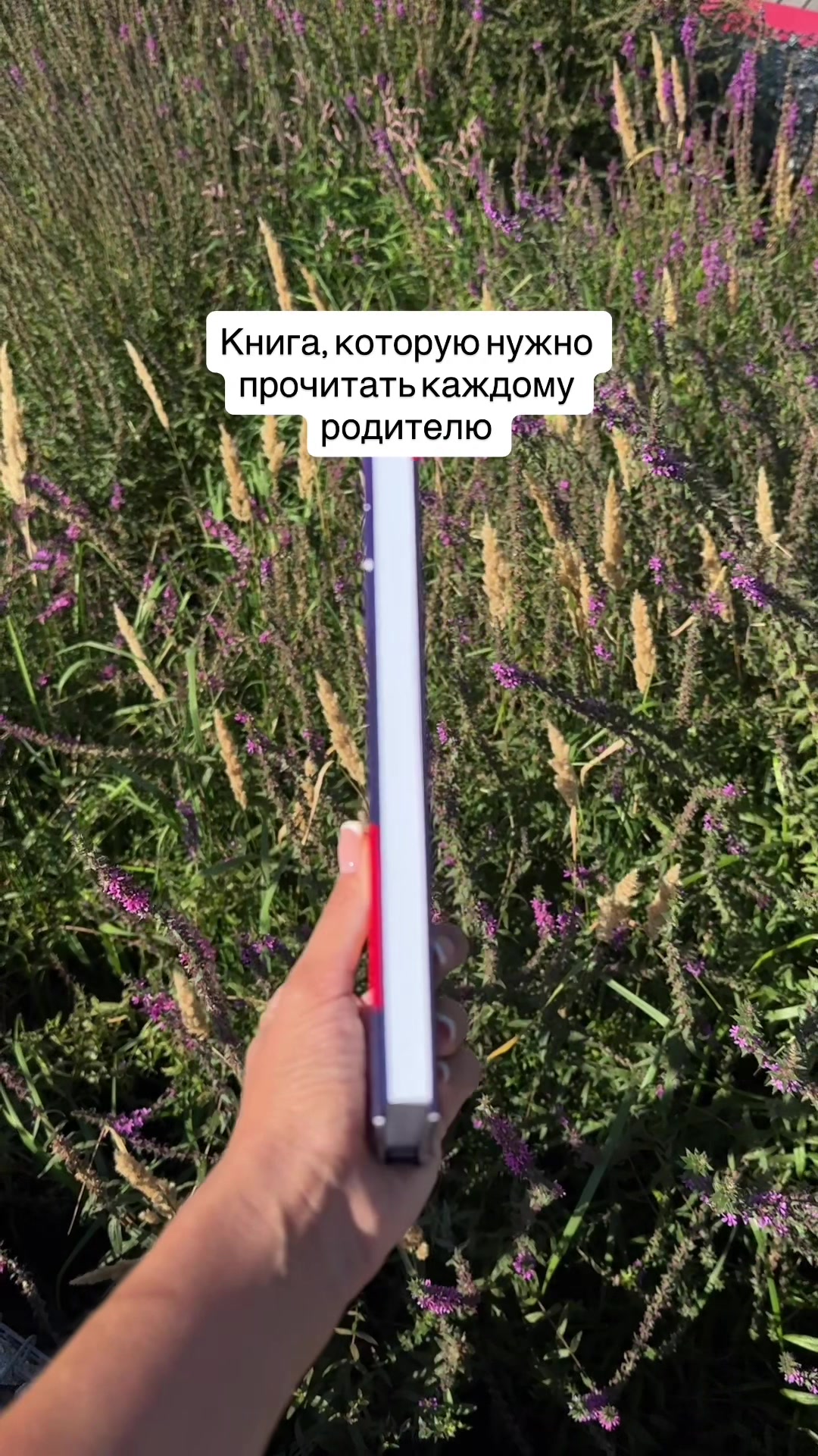 @Книги