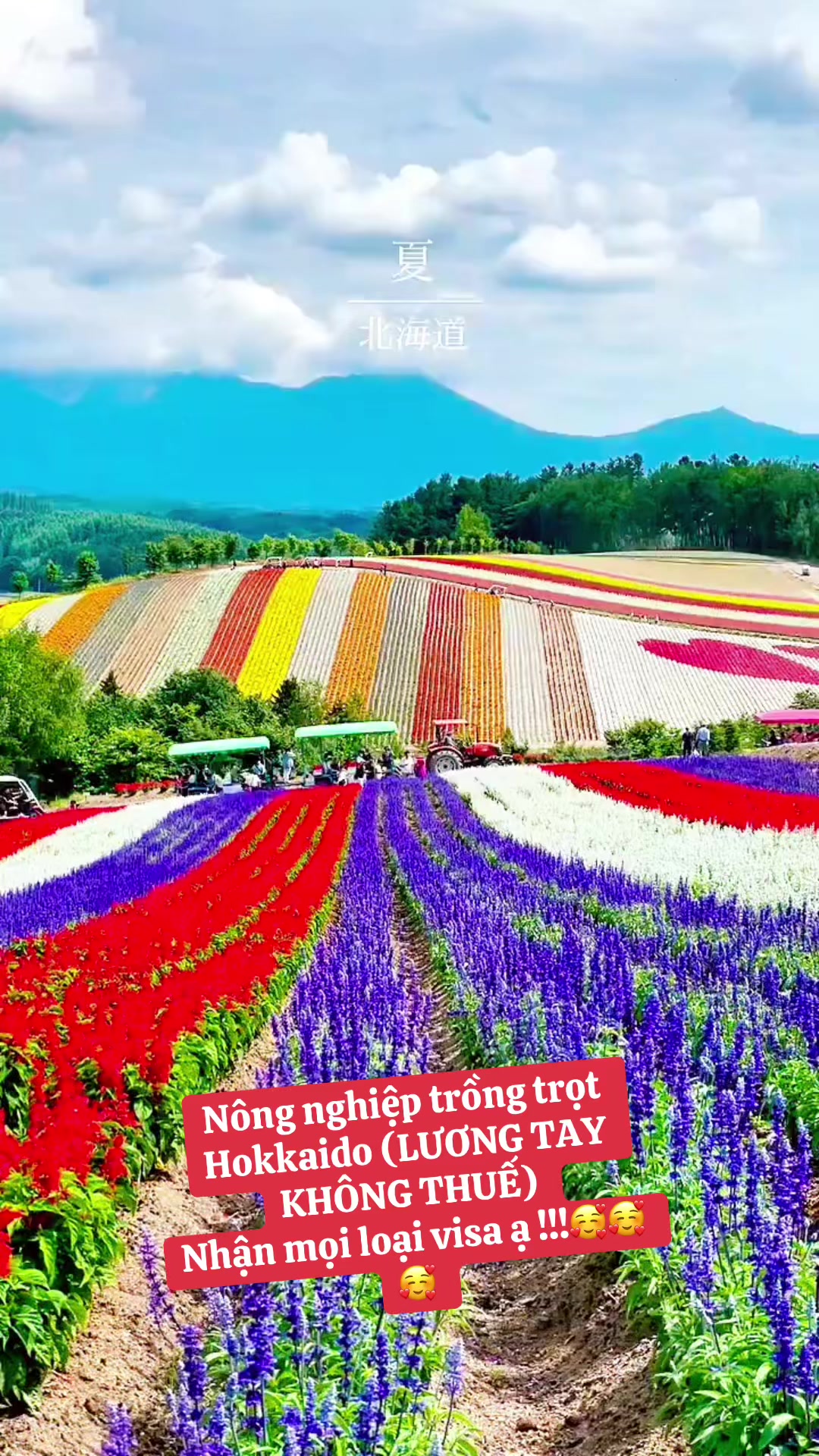 @Ngọc C&ocirc;ng Tokutei 🇻🇳🇯🇵