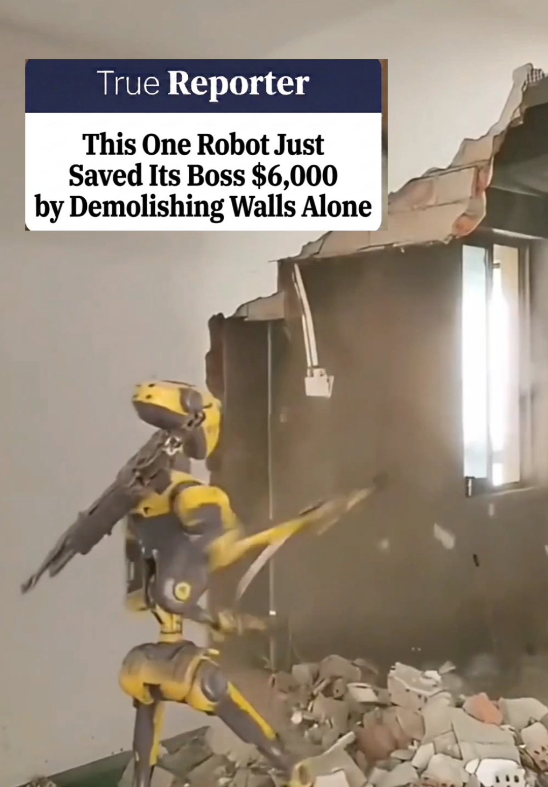 @𝙏𝙧𝙪𝙚 𝙍𝙚𝙥𝙤𝙧𝙩𝙚𝙧 ✅