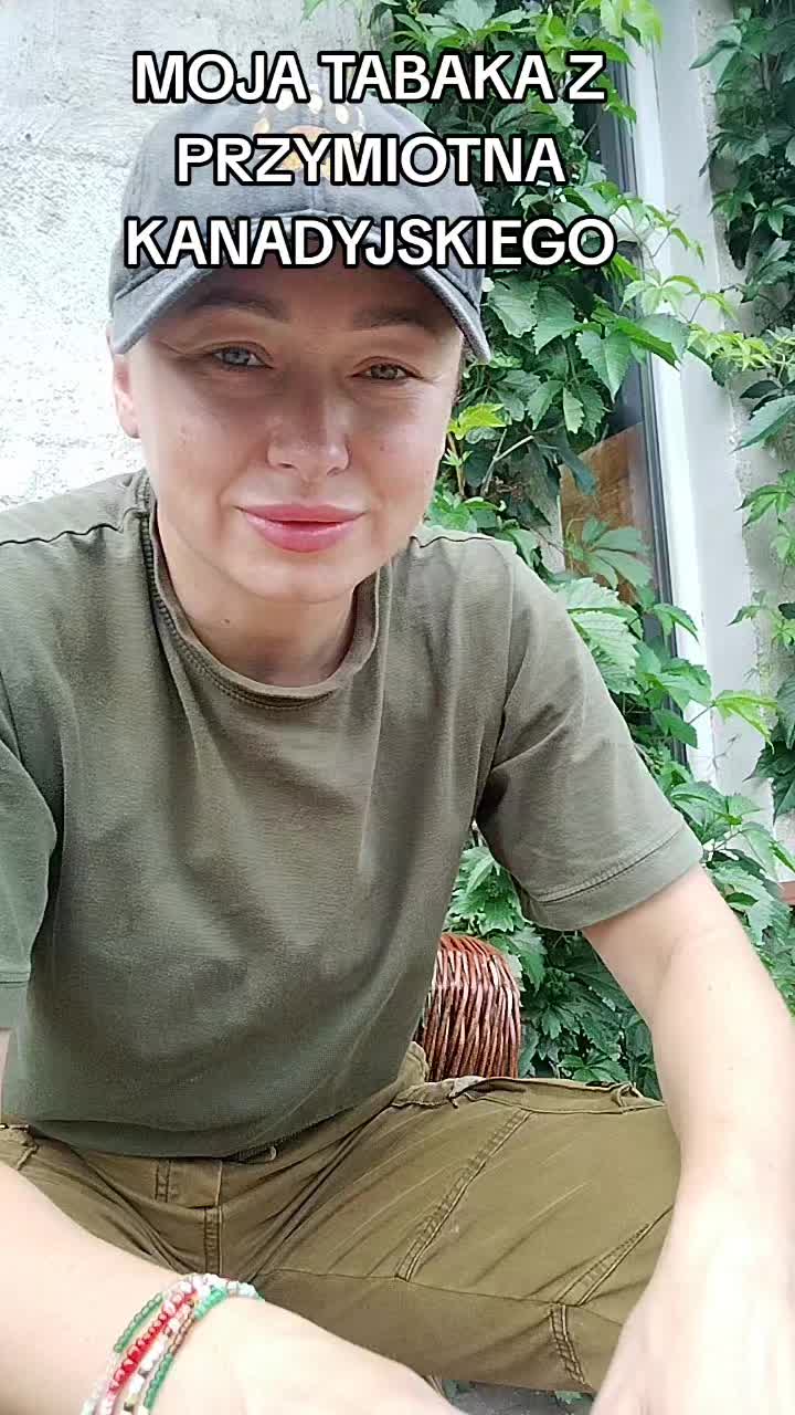 @Zielsko Szeptuchy