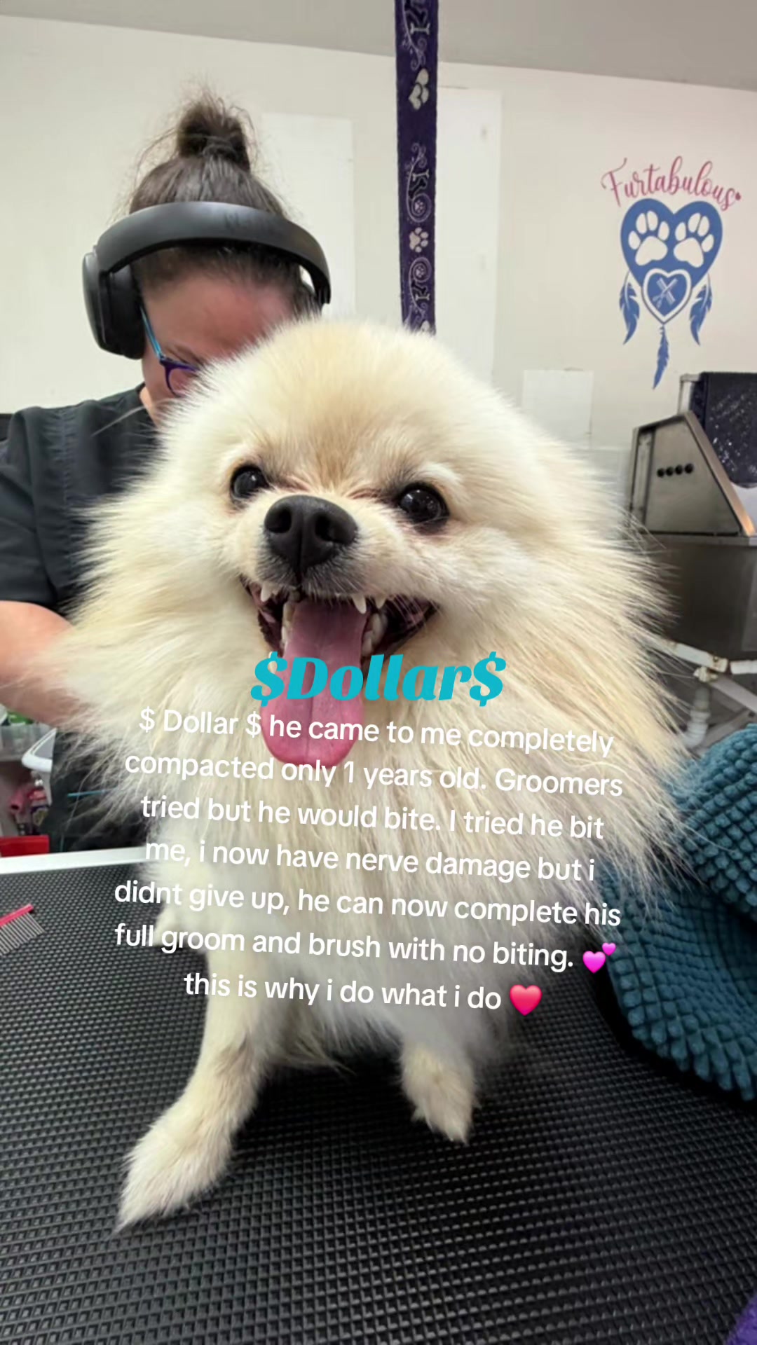 @Rhi 🐶🐾