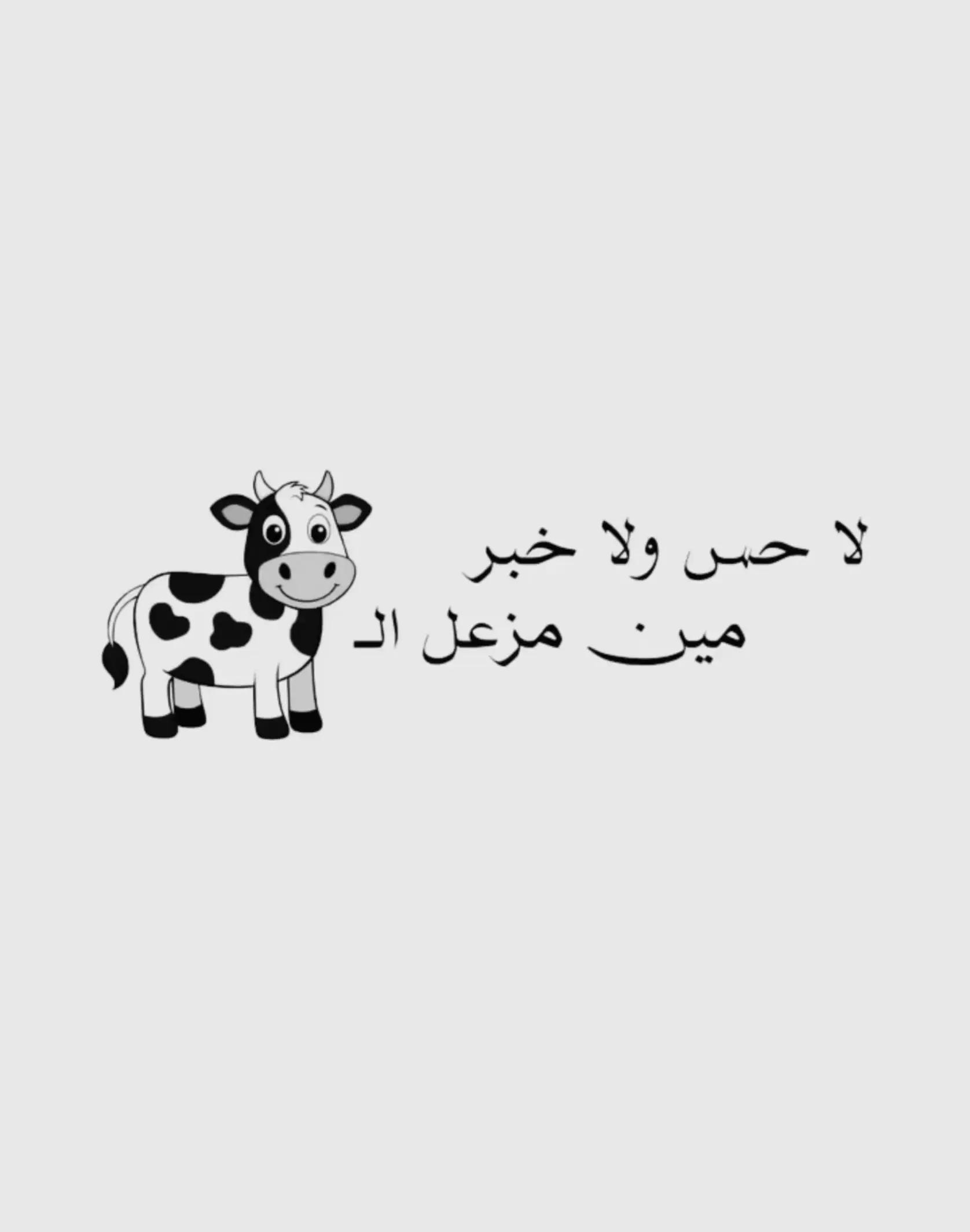 @Tarek Lebanese Souvenirs 🇱🇧