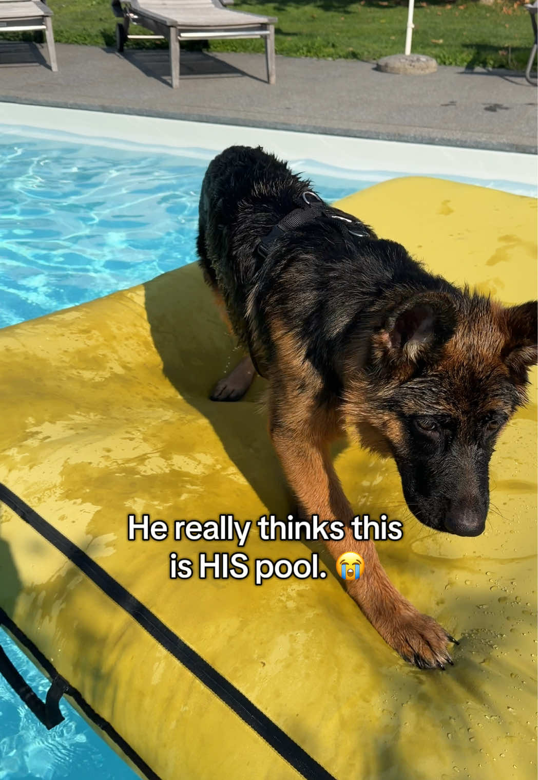 @gsd.kuba
