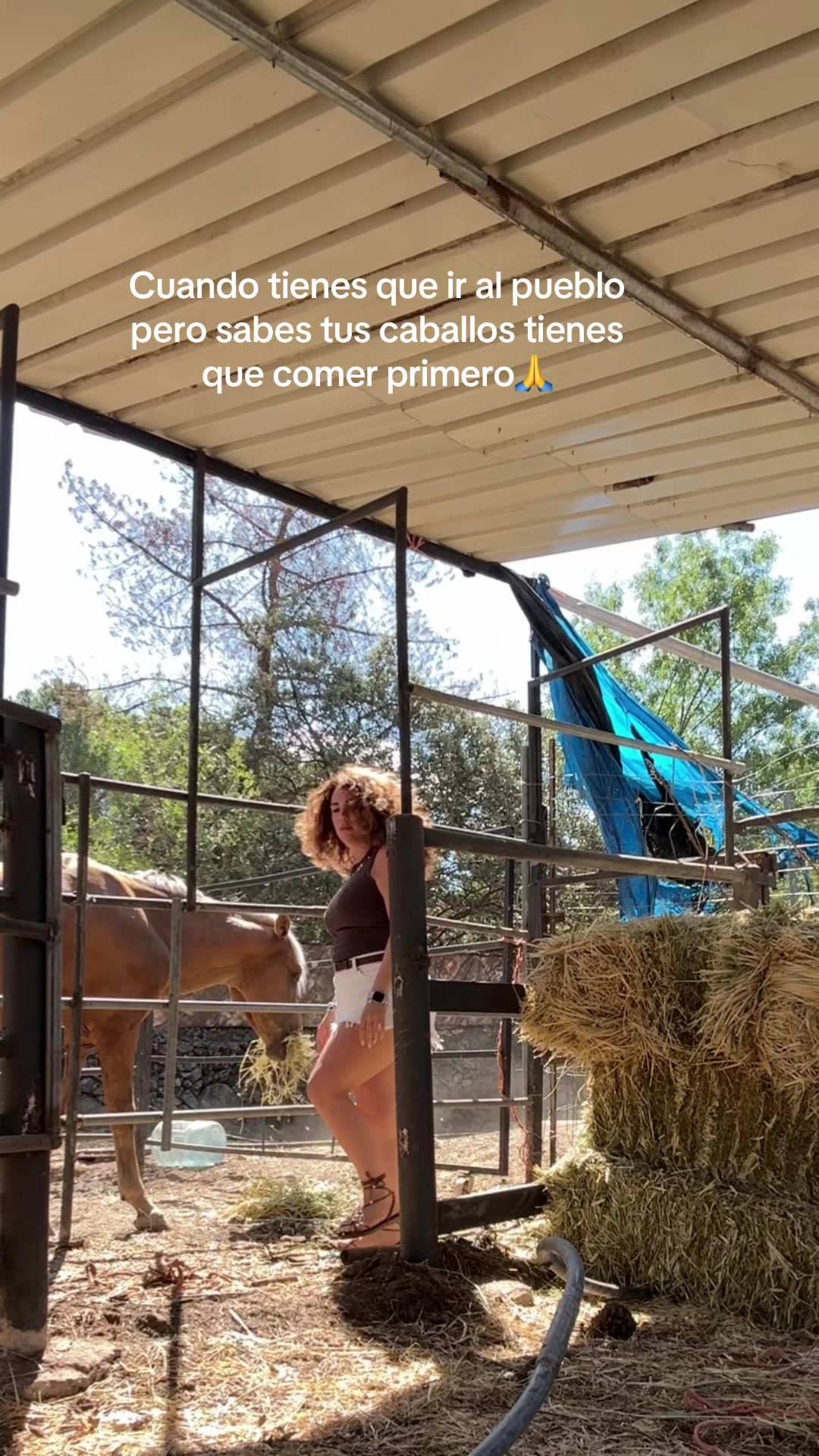 @Neisy