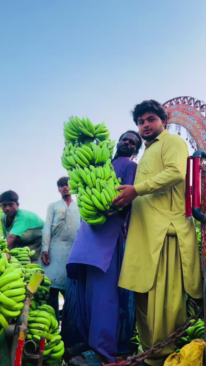 @comrade Sindhi 🚩🤨💫bananas