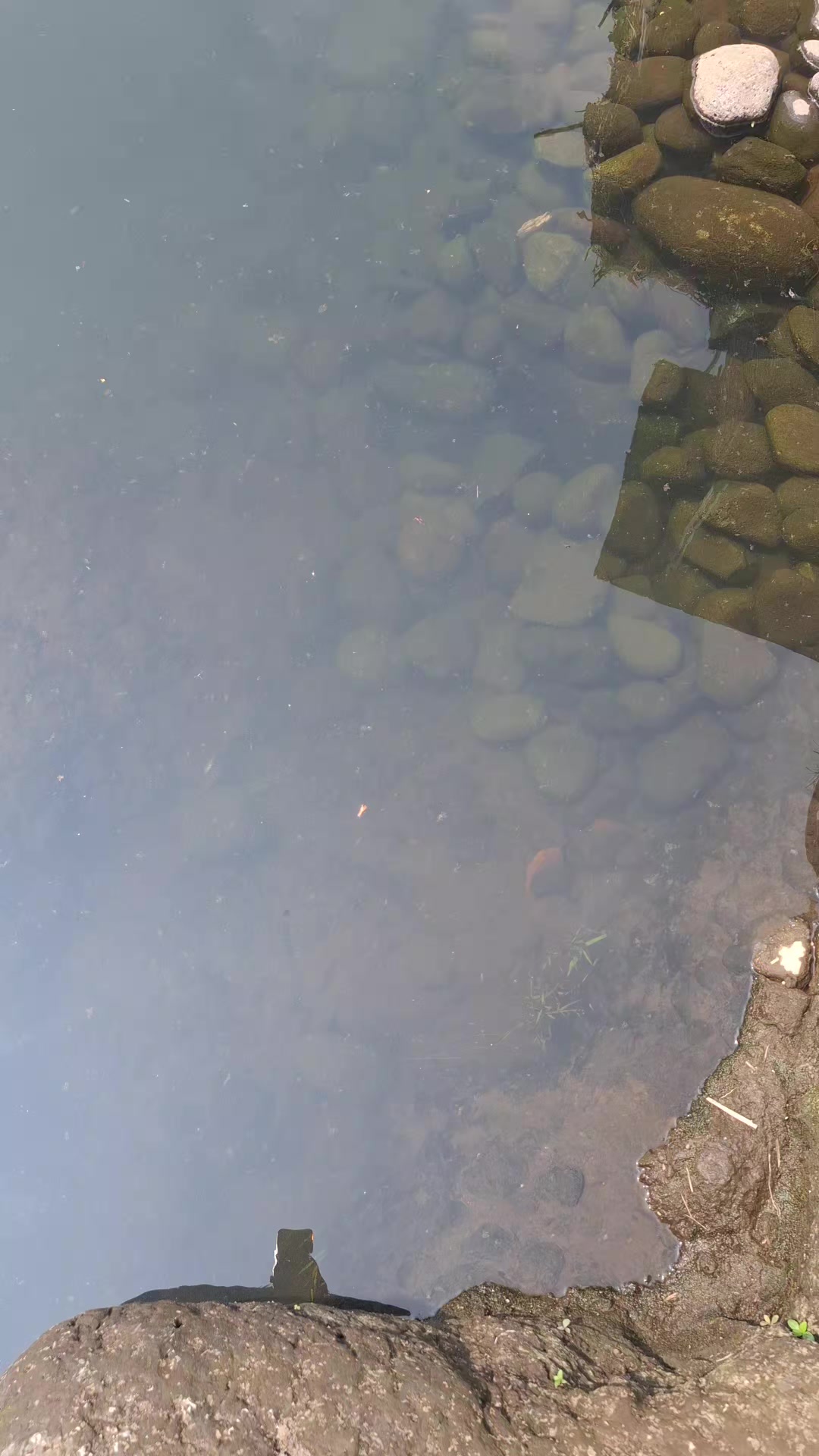 @Gasle Fishing