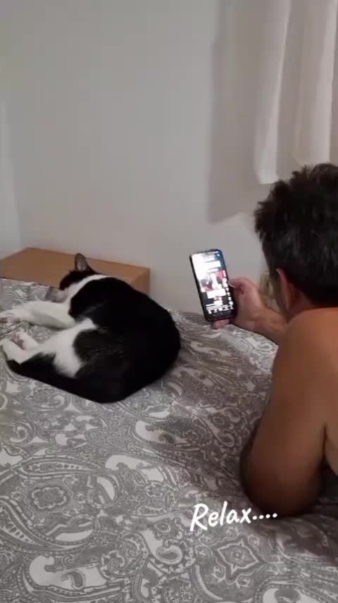 @silviuscintee