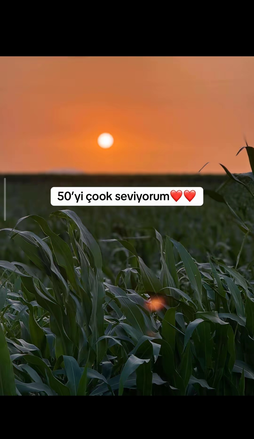 @Eymen can