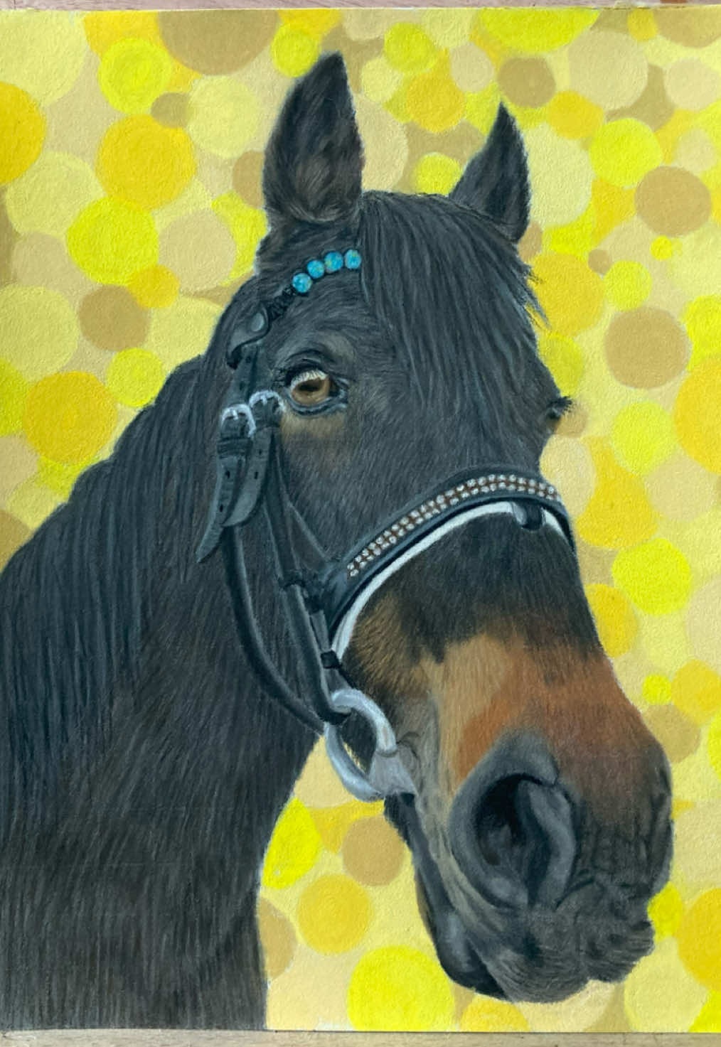 @Pet portraits