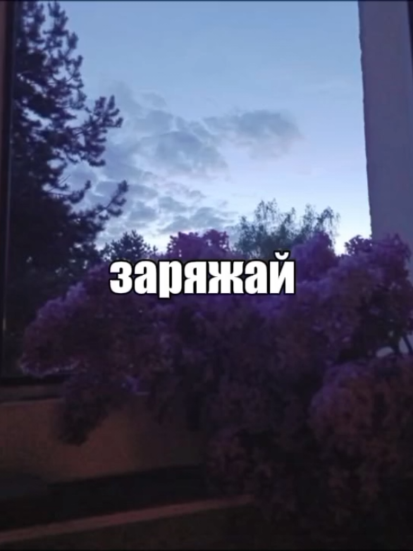 @baby.ew