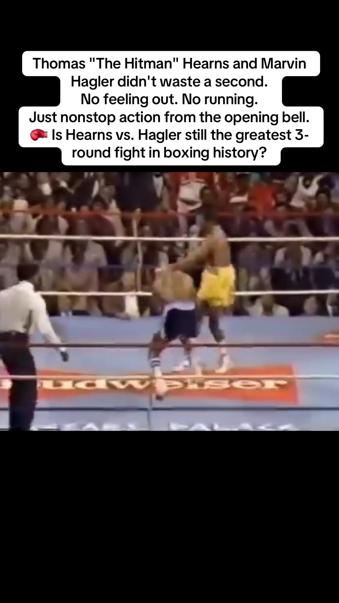 @Boxing Loops 🥊 Highlights