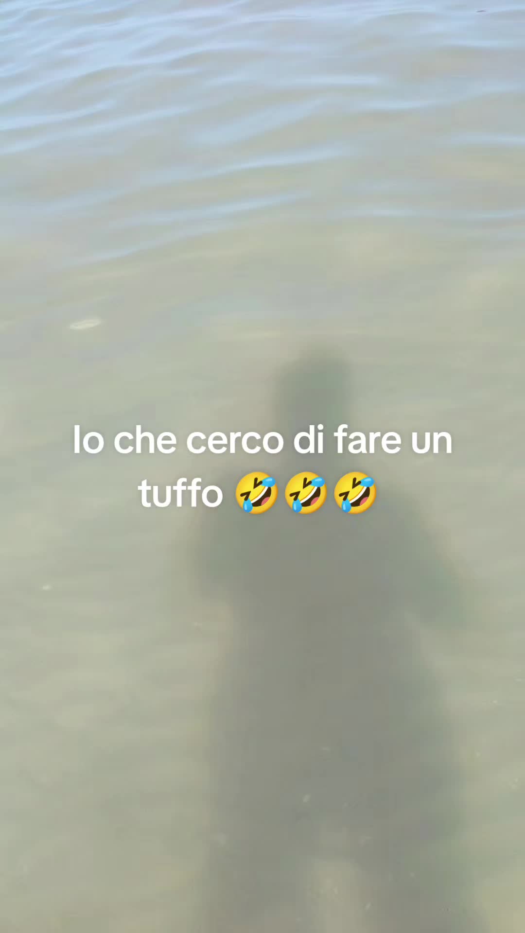@@𝑻𝒐𝒏𝒚𝒂185🐻🌞🌛