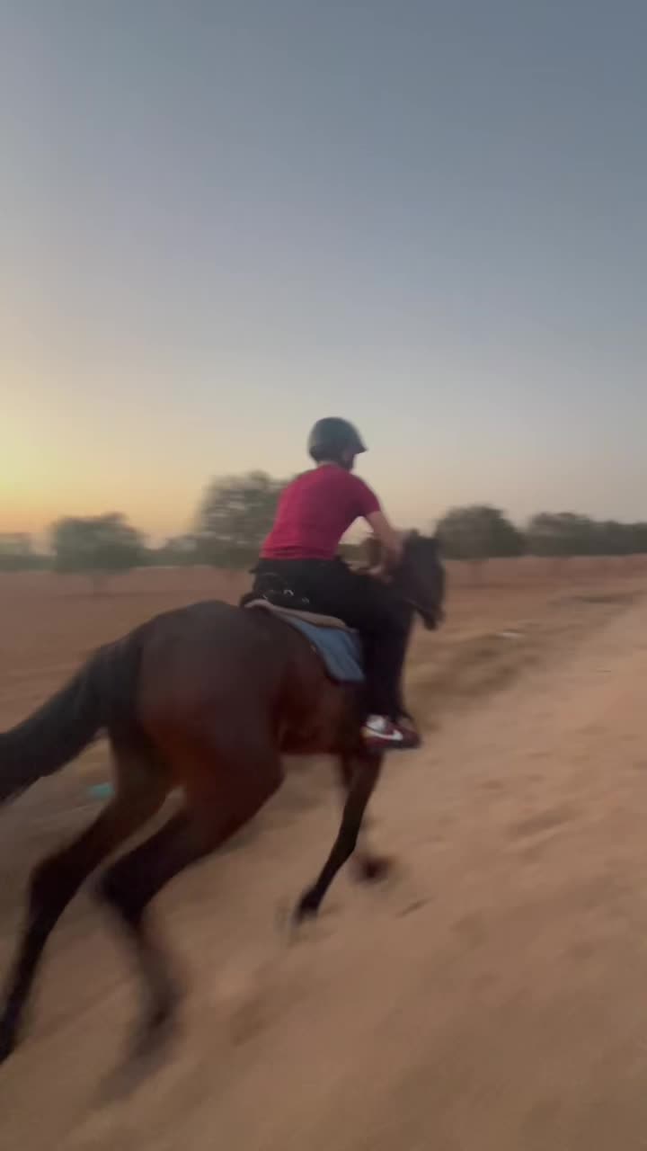 @Feres Ben Amor 🏇