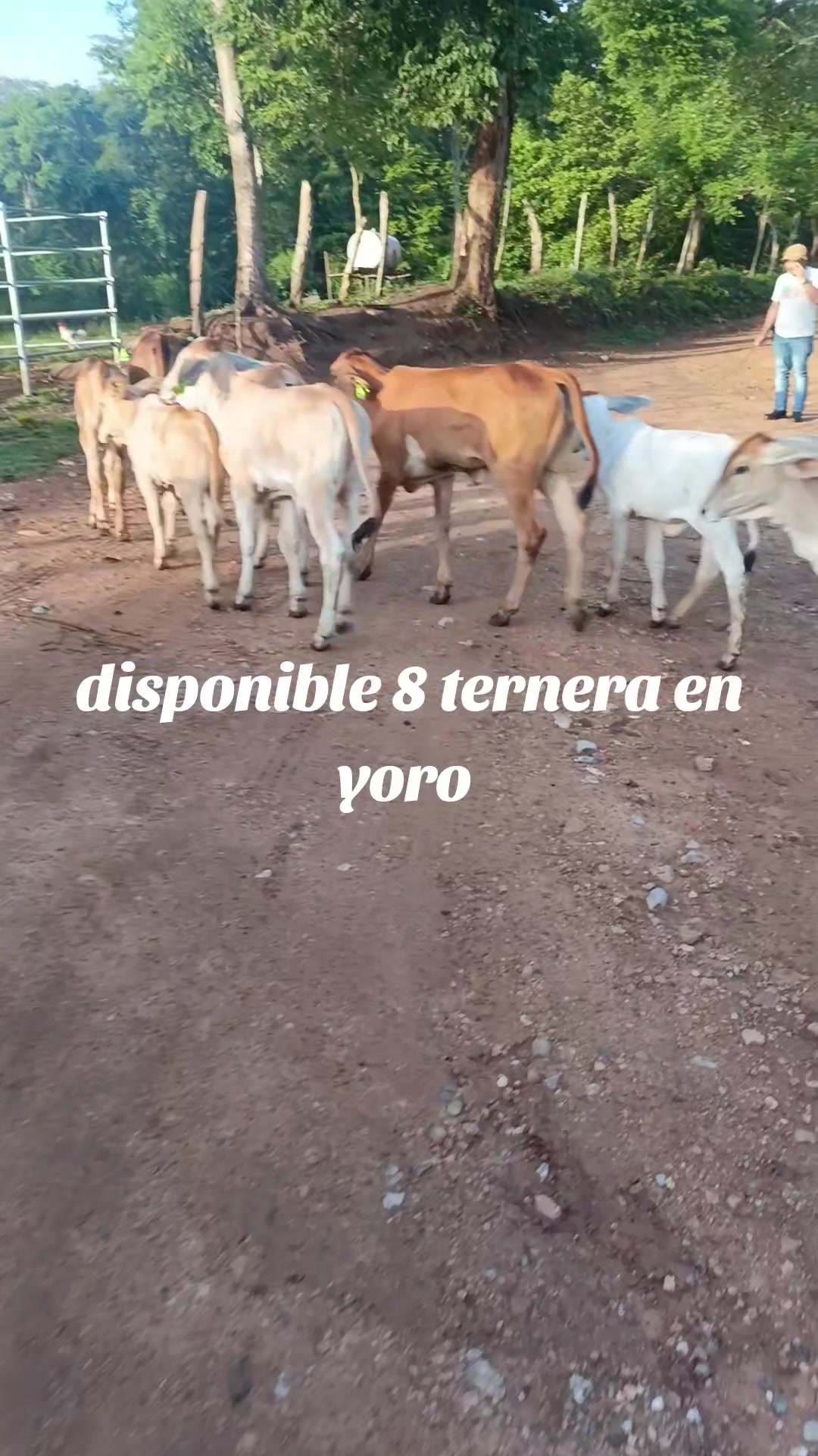 @maykel Mej&iacute;a
