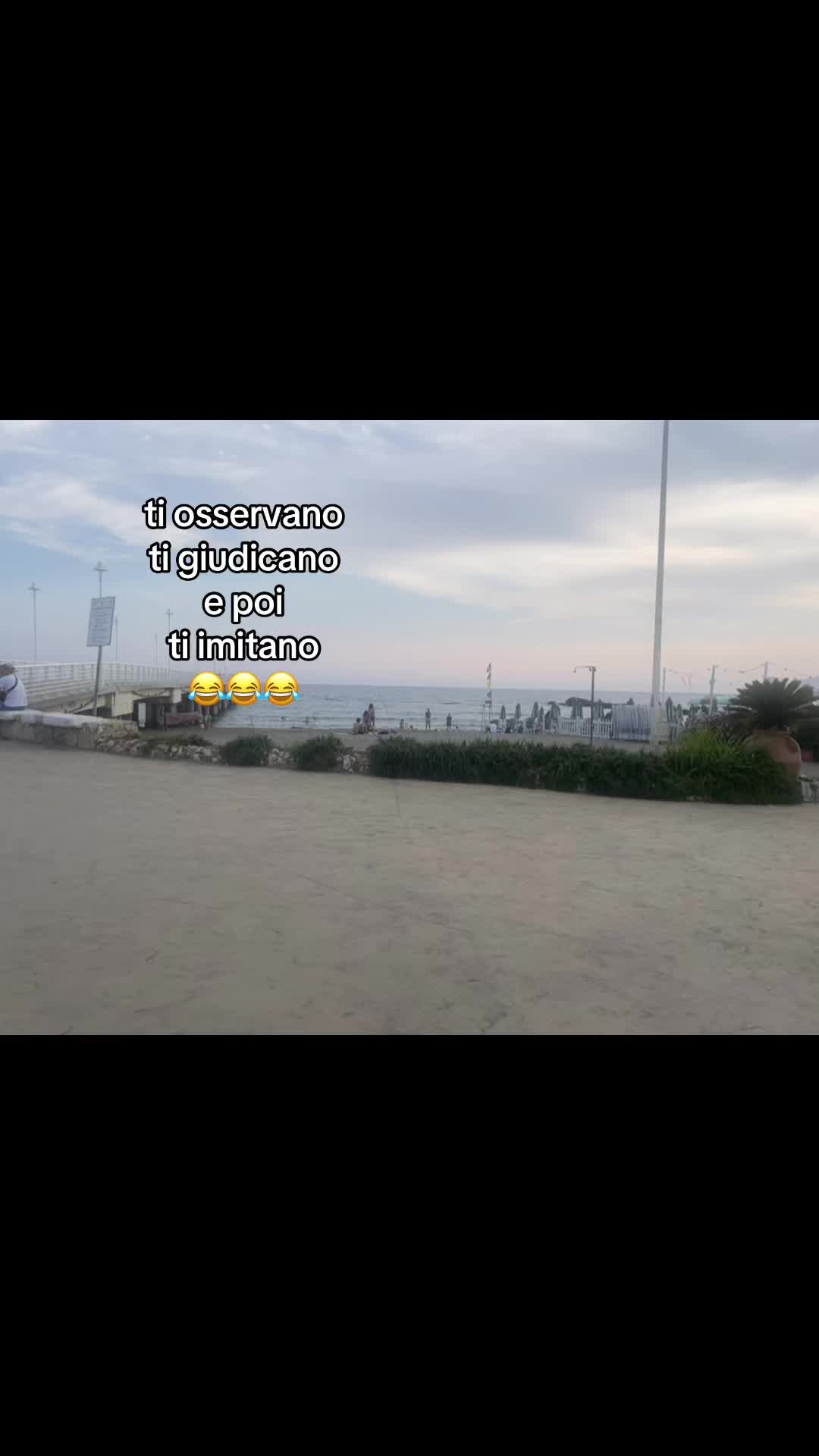 @🦈🫨
