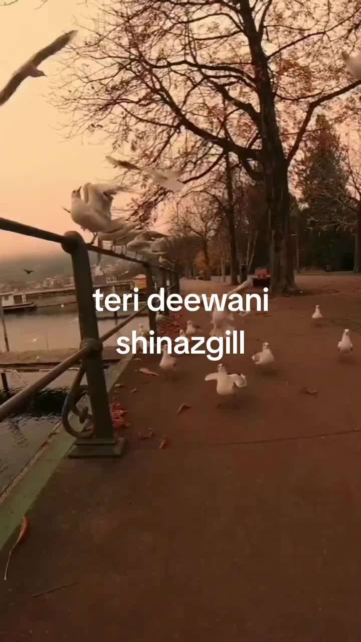 @mahkun
