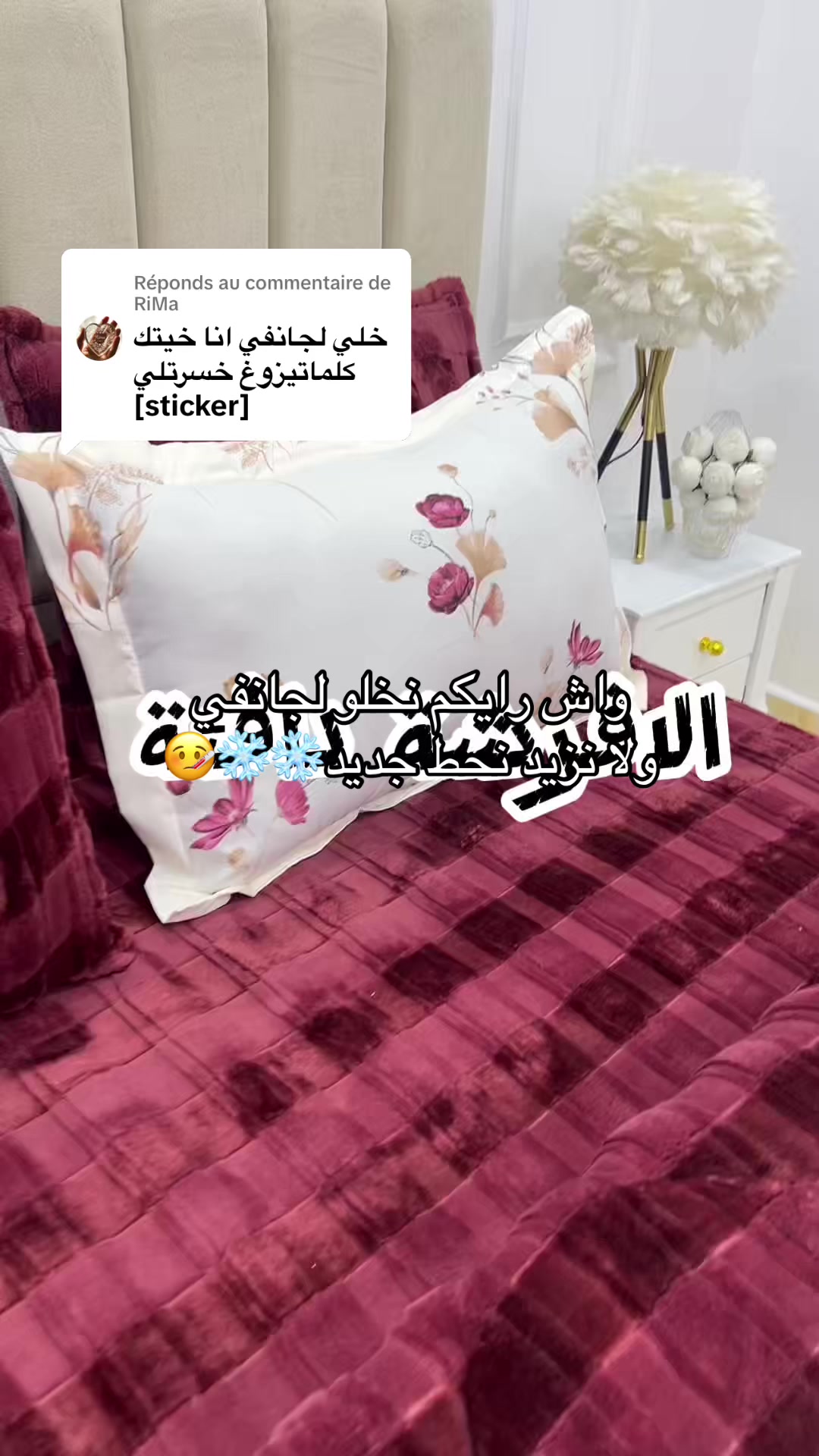 @chebah.darek