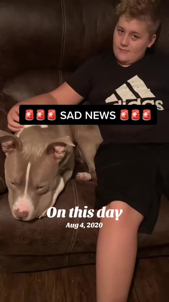 @Pittie Mom