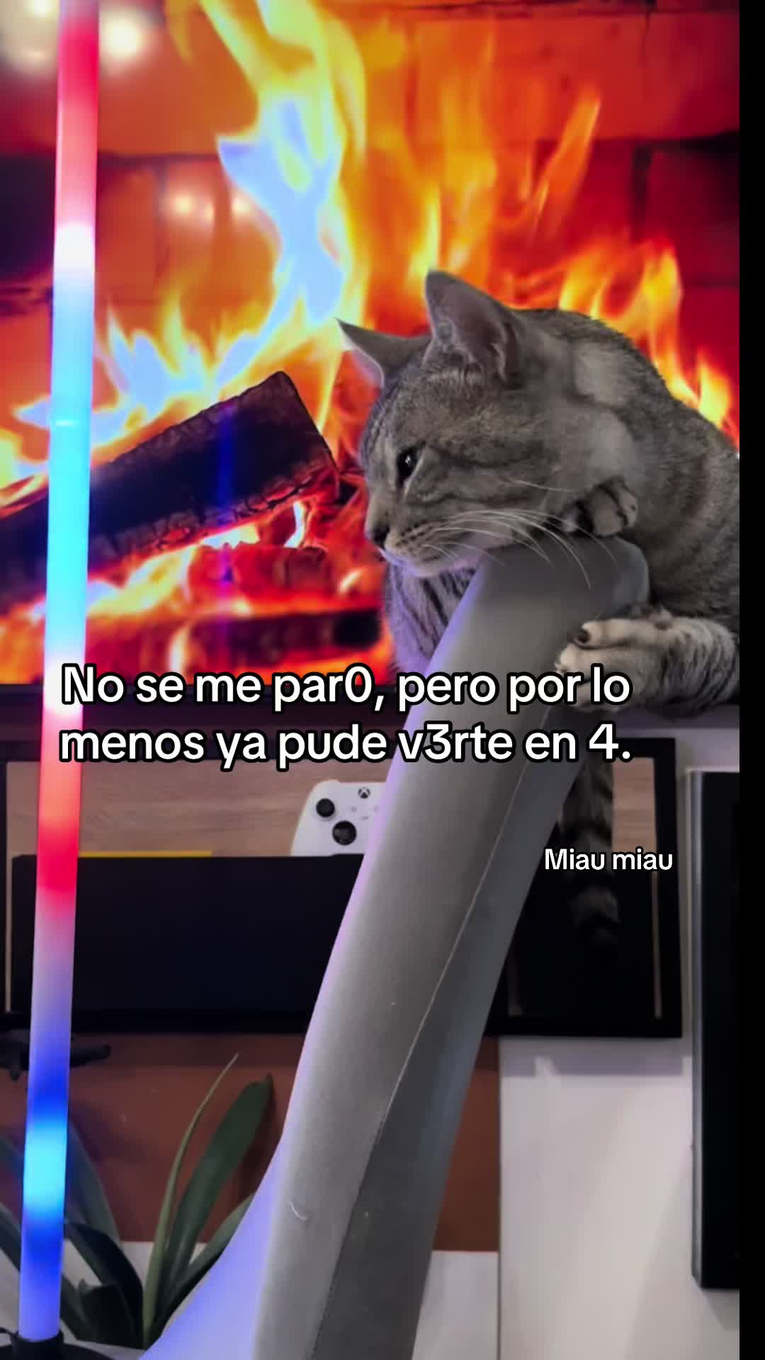 @Rodrigo and Watermelon the cat