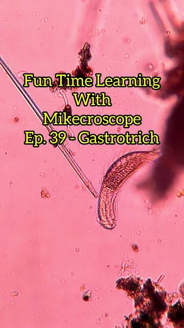 @Mikecroscope