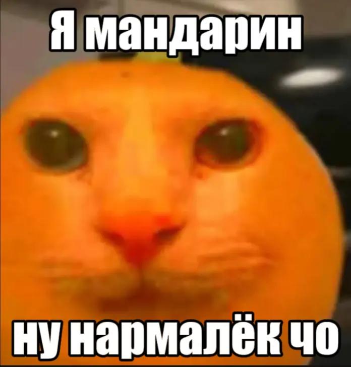 @4ttent1ve