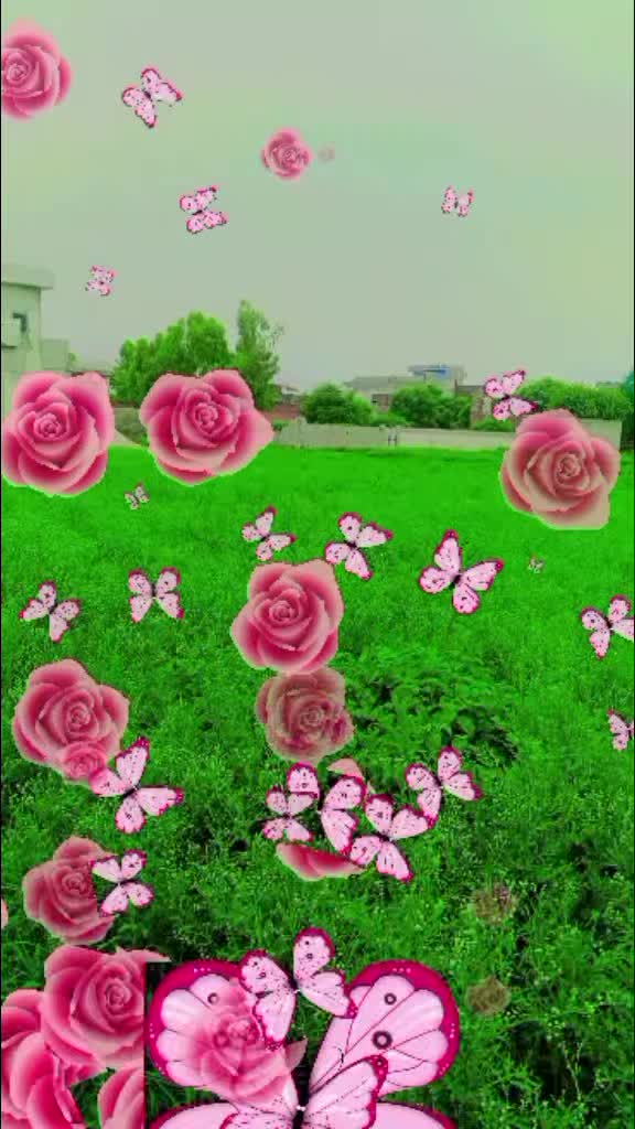 @Iqbal Jutt768