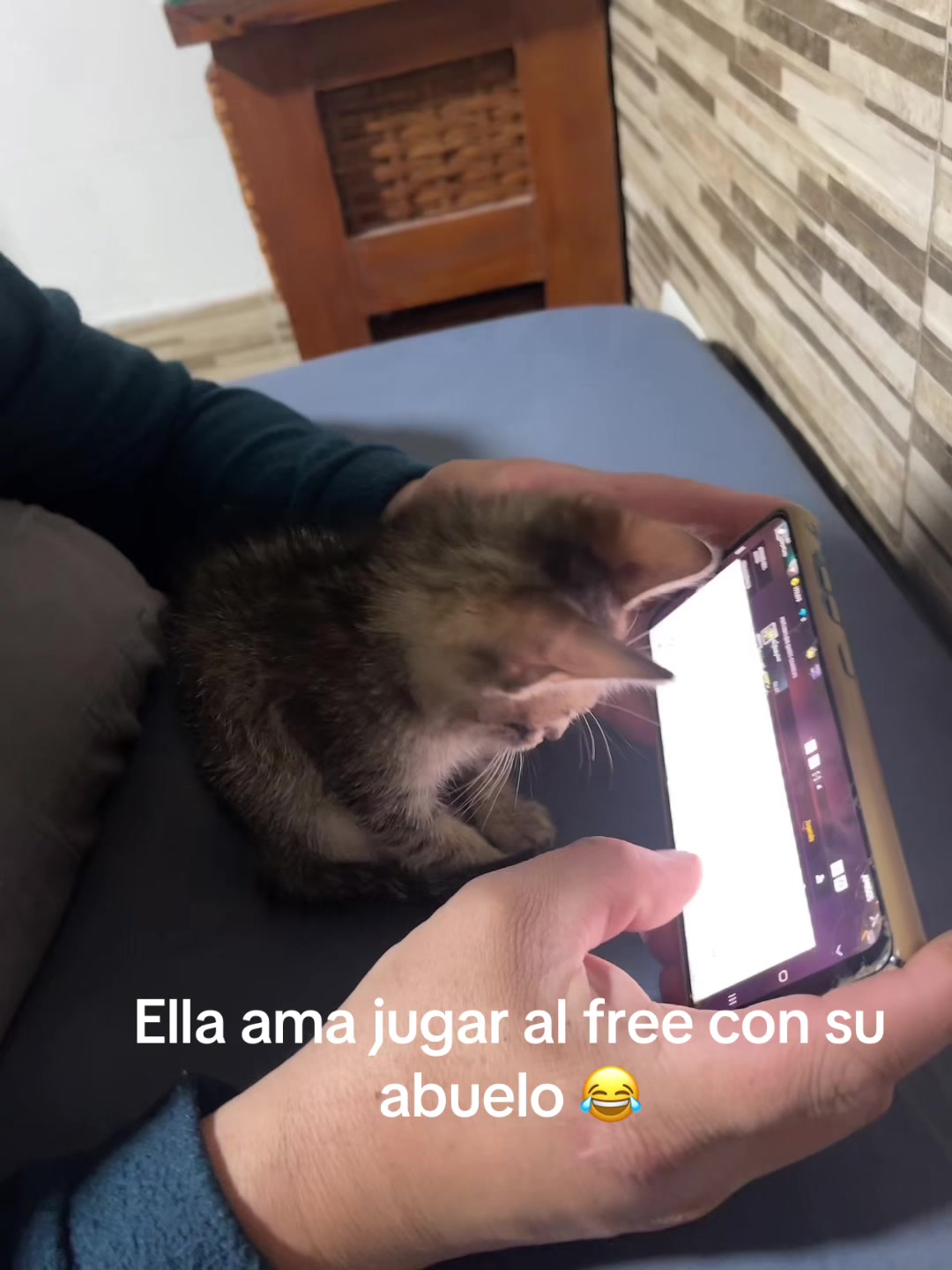 @LAURA 🌸