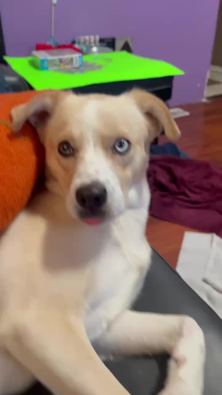 @Aki