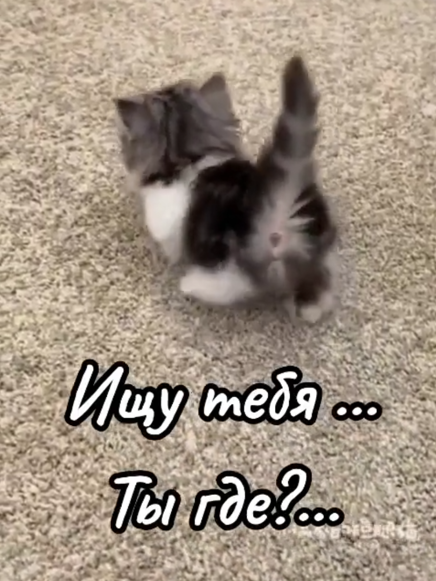 @Марина 🌹