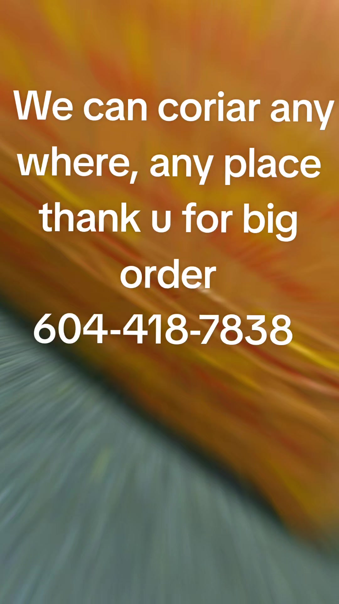 @family boutique nimrat&kimran
