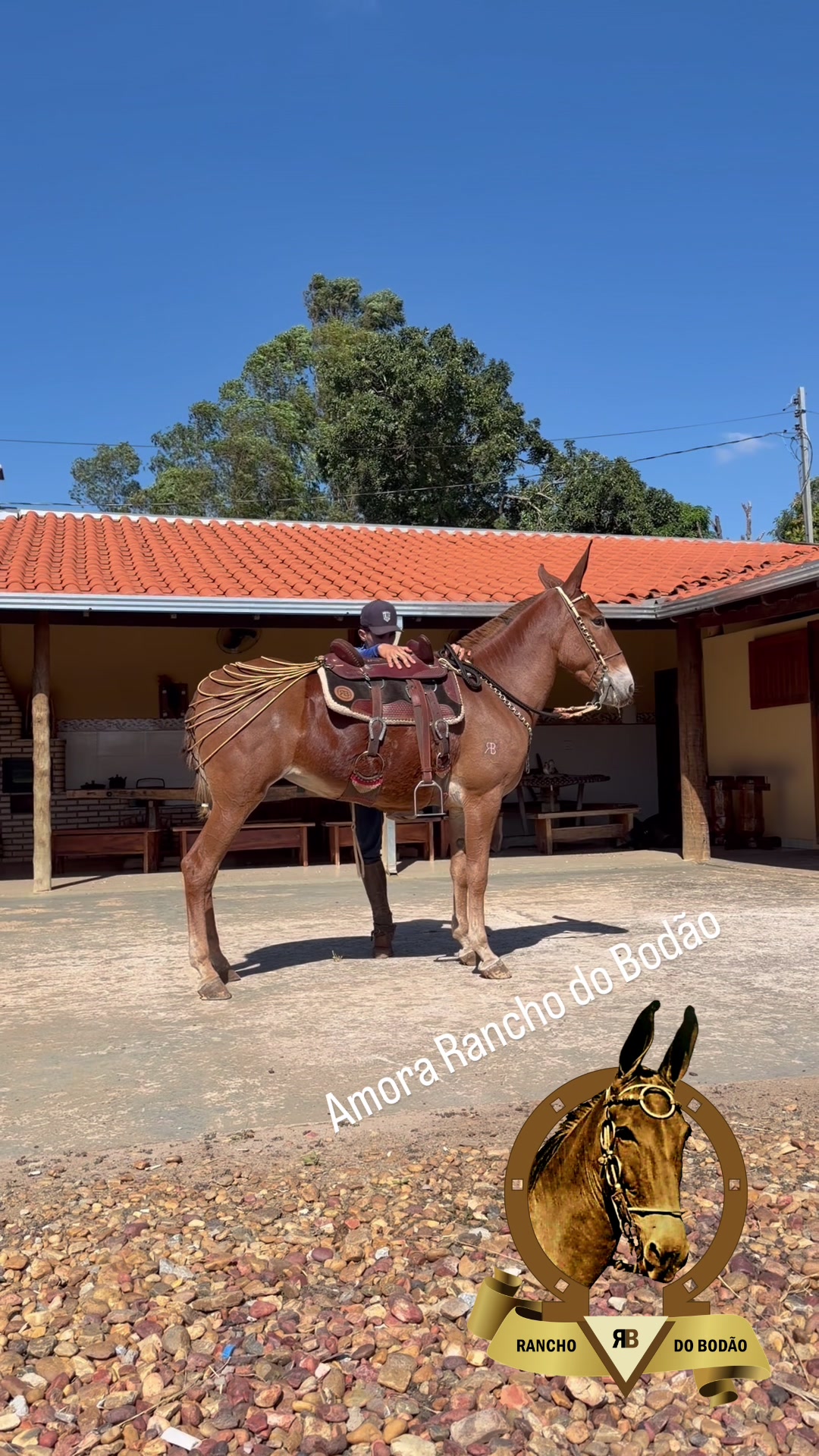 @Rancho do Bod&atilde;o
