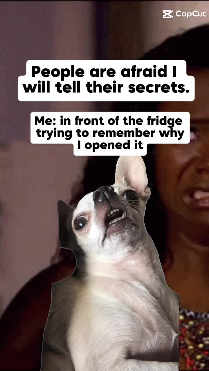 @ladybugg$$