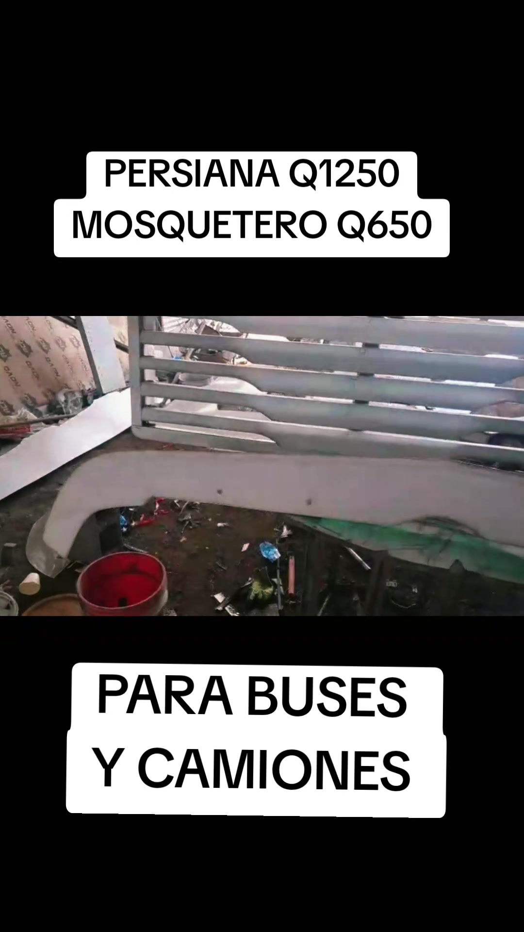 @Buses y Accesorios DG