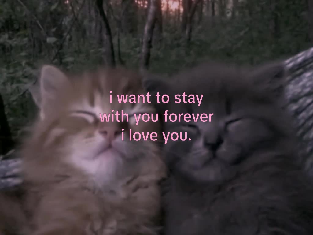 @mond