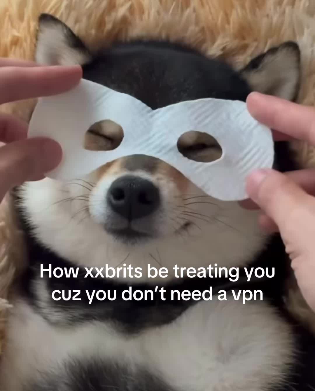 @thelosfiles