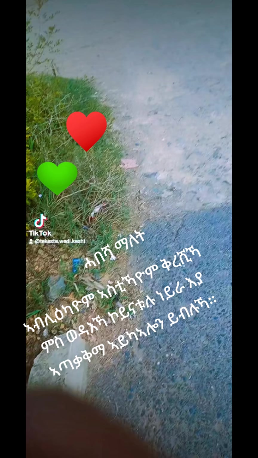 @Tekeste Wedi Keshi
