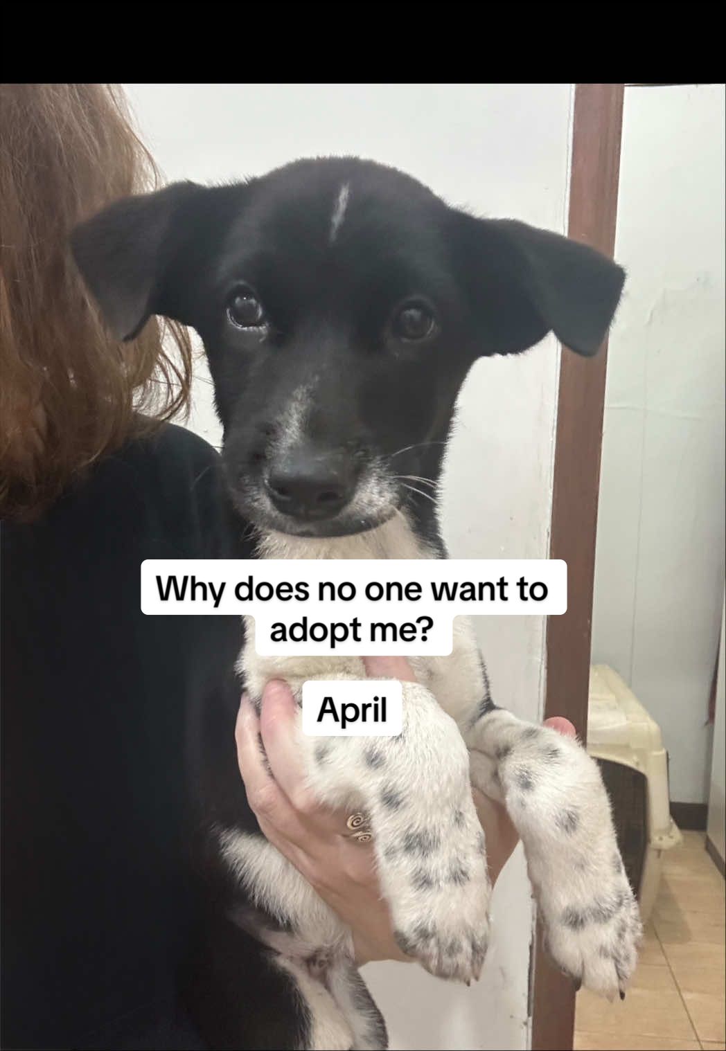 @Tia&rsquo;s Tail Tales