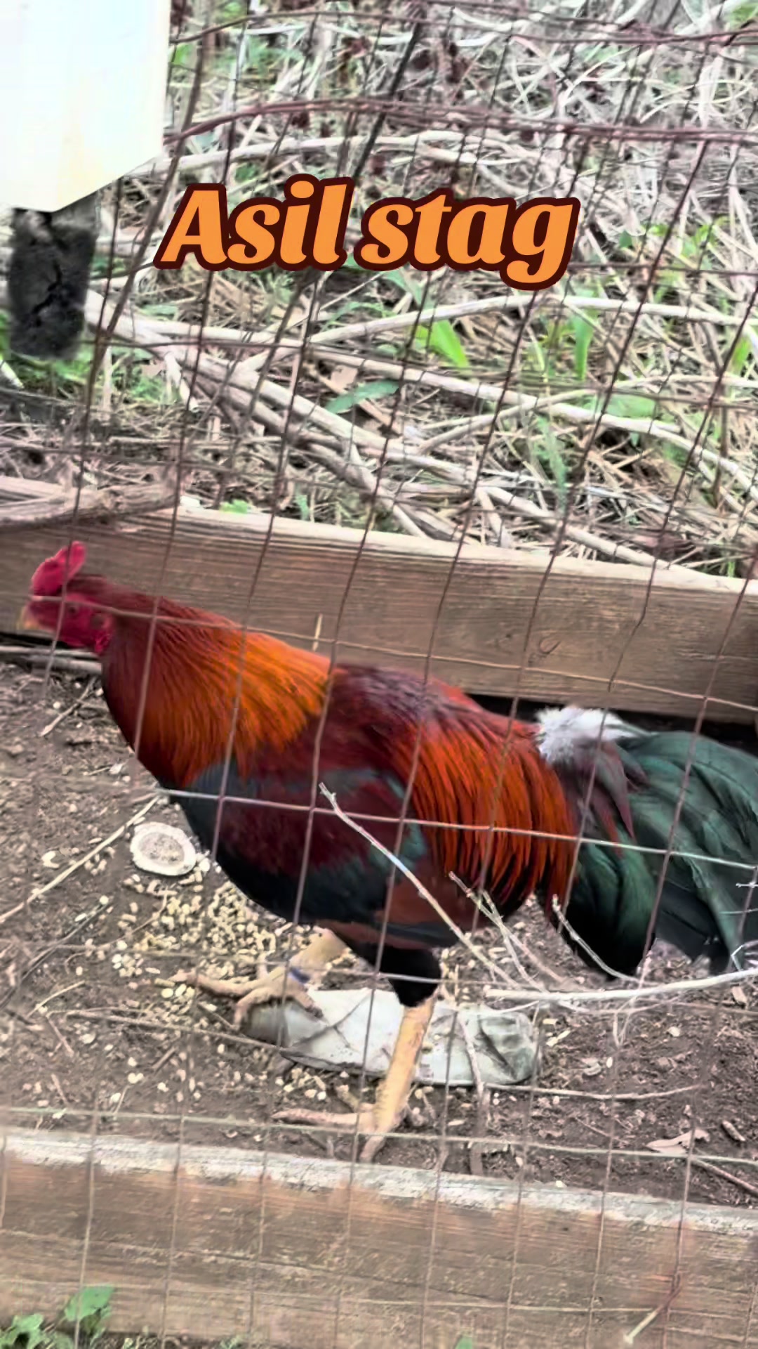 @Bryan Gamefarm