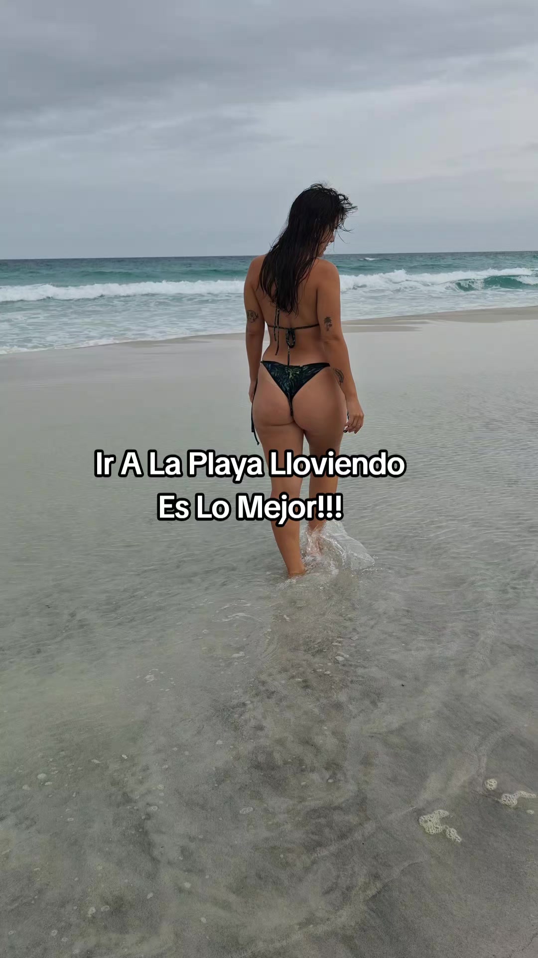 @Elii Zanotto