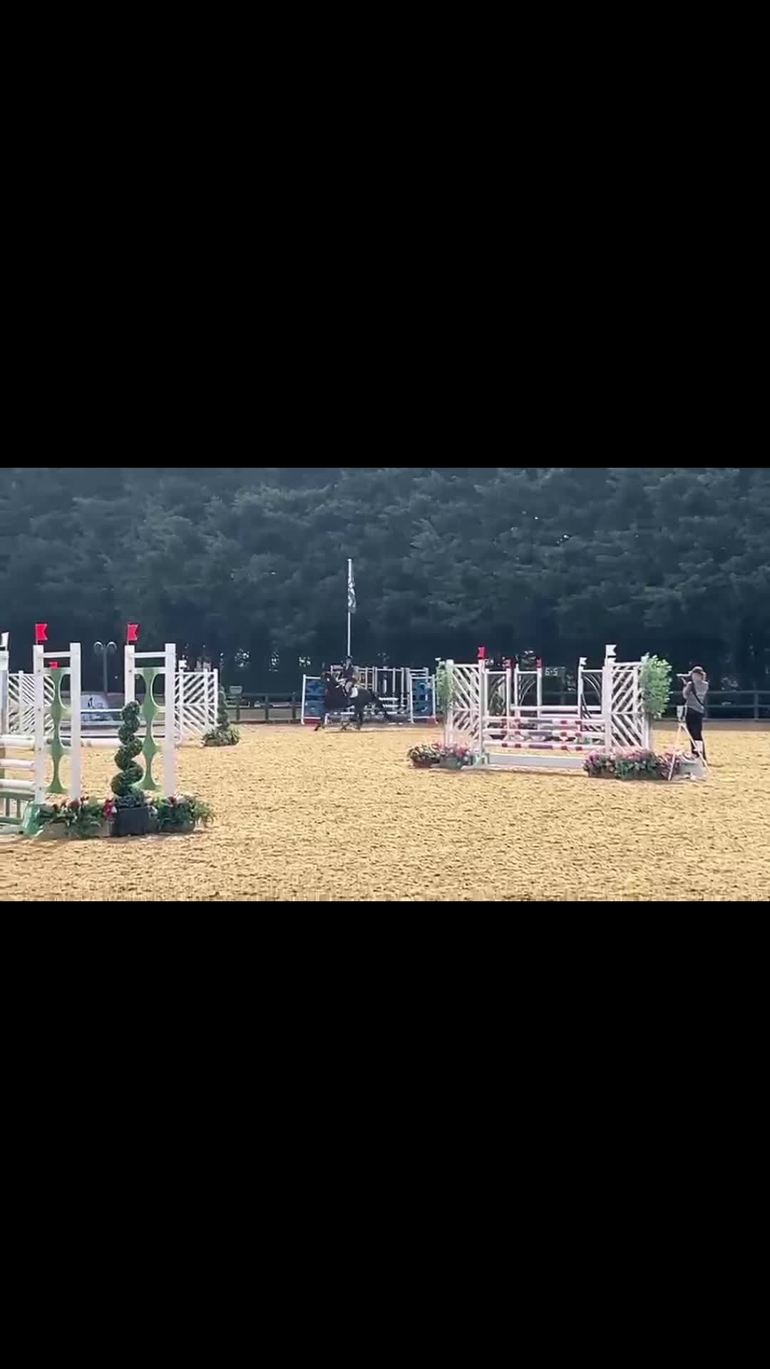 @Charlotte 🏇🐑