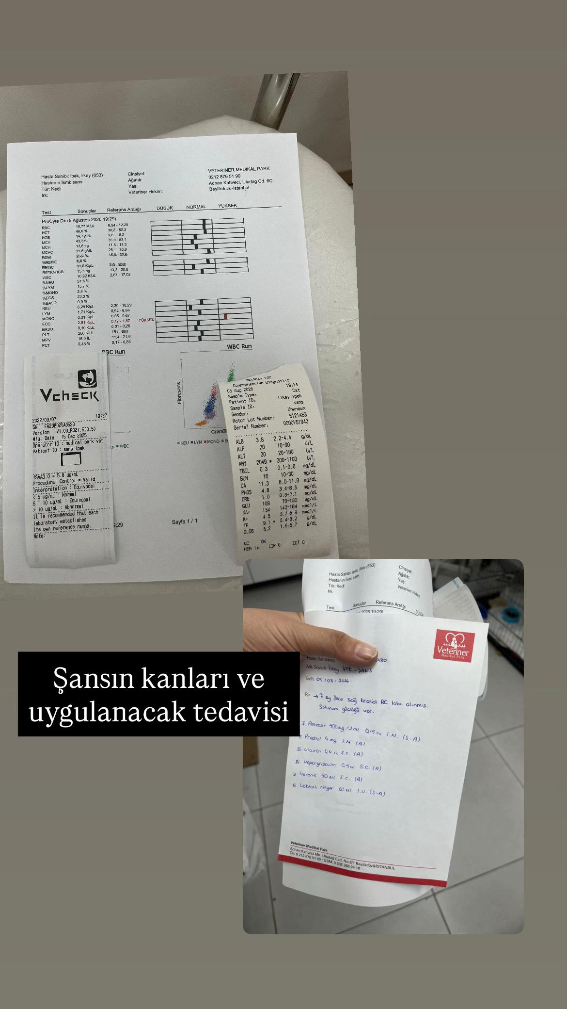@Yesiminpatileri61