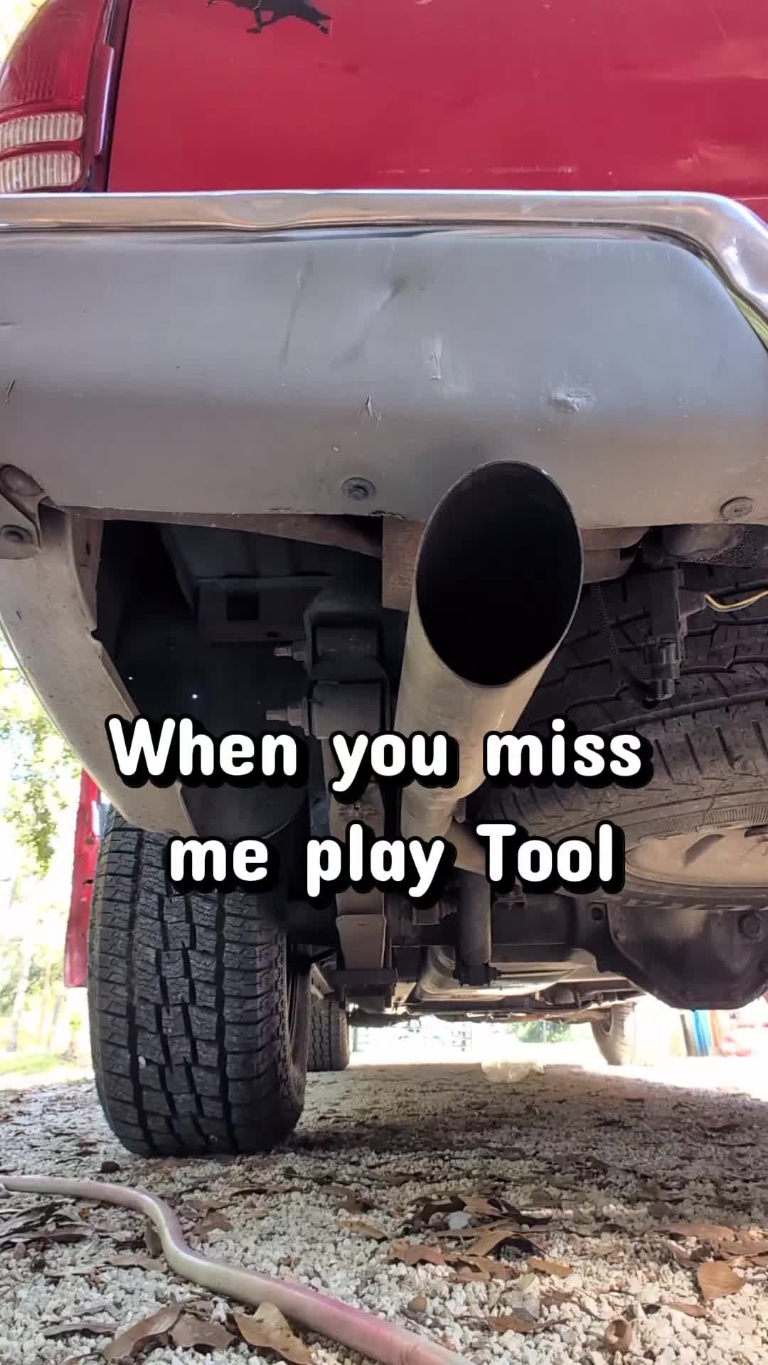 @wiredsquirrel13