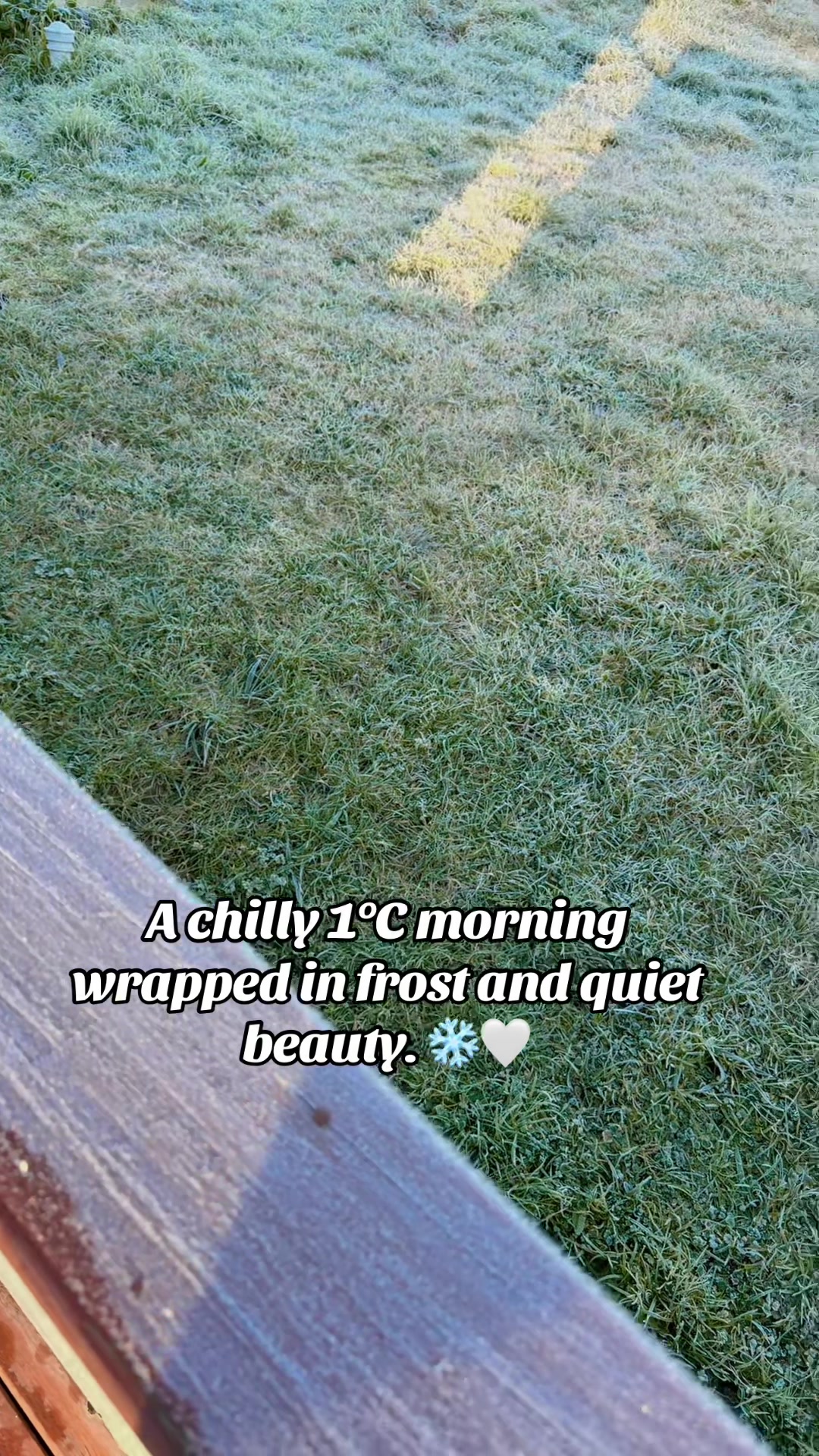 @🍁ℍ𝕚𝕤_ℝ𝕠𝕠𝕙𝕚🌺