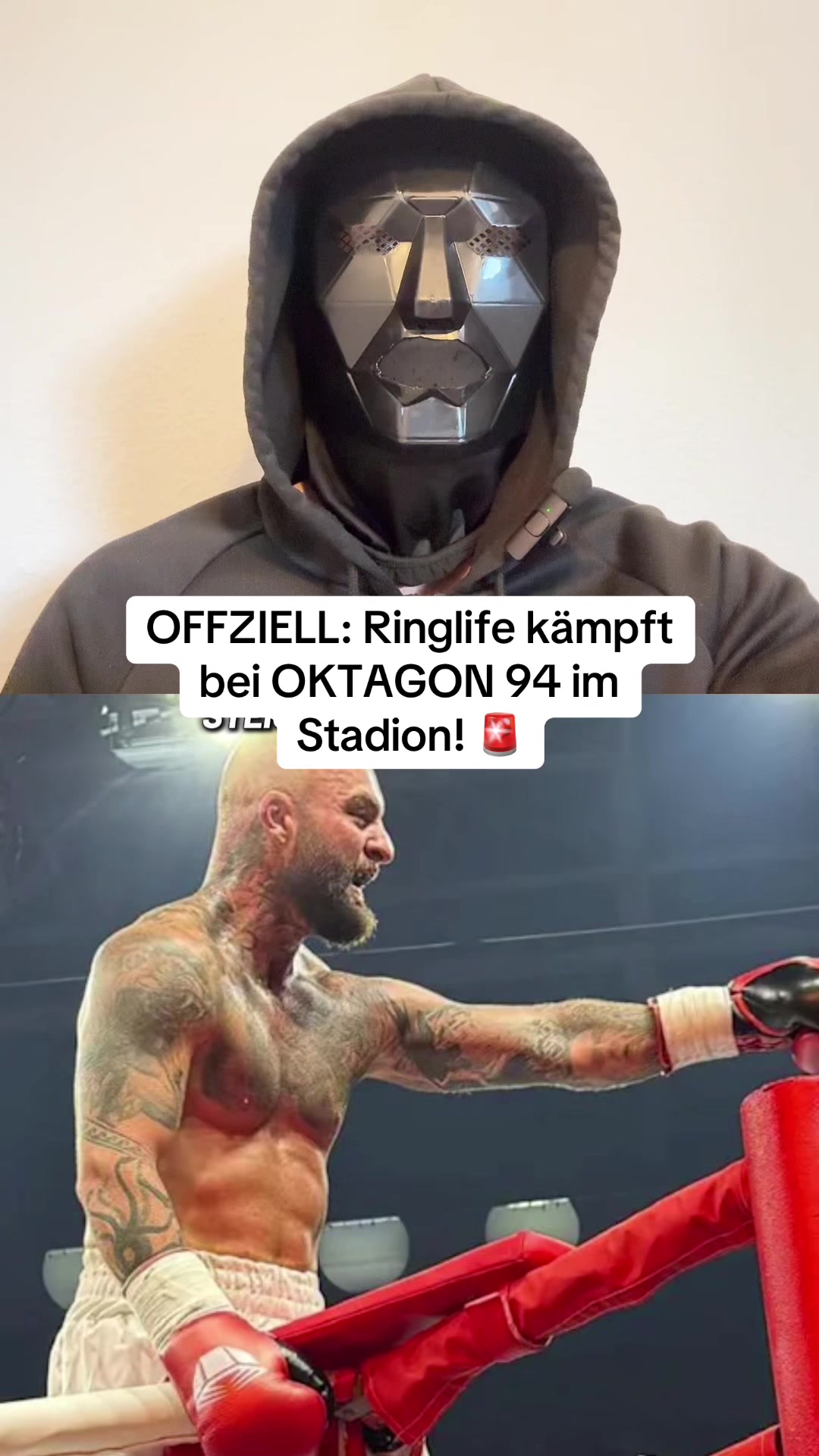 @Fight News DE