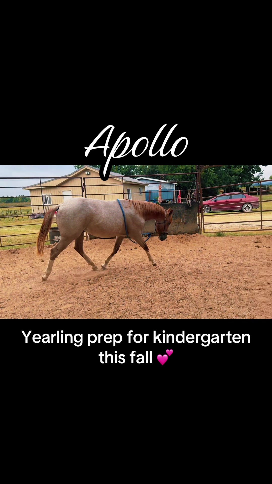 @itsARodeoThing 💞 Traci
