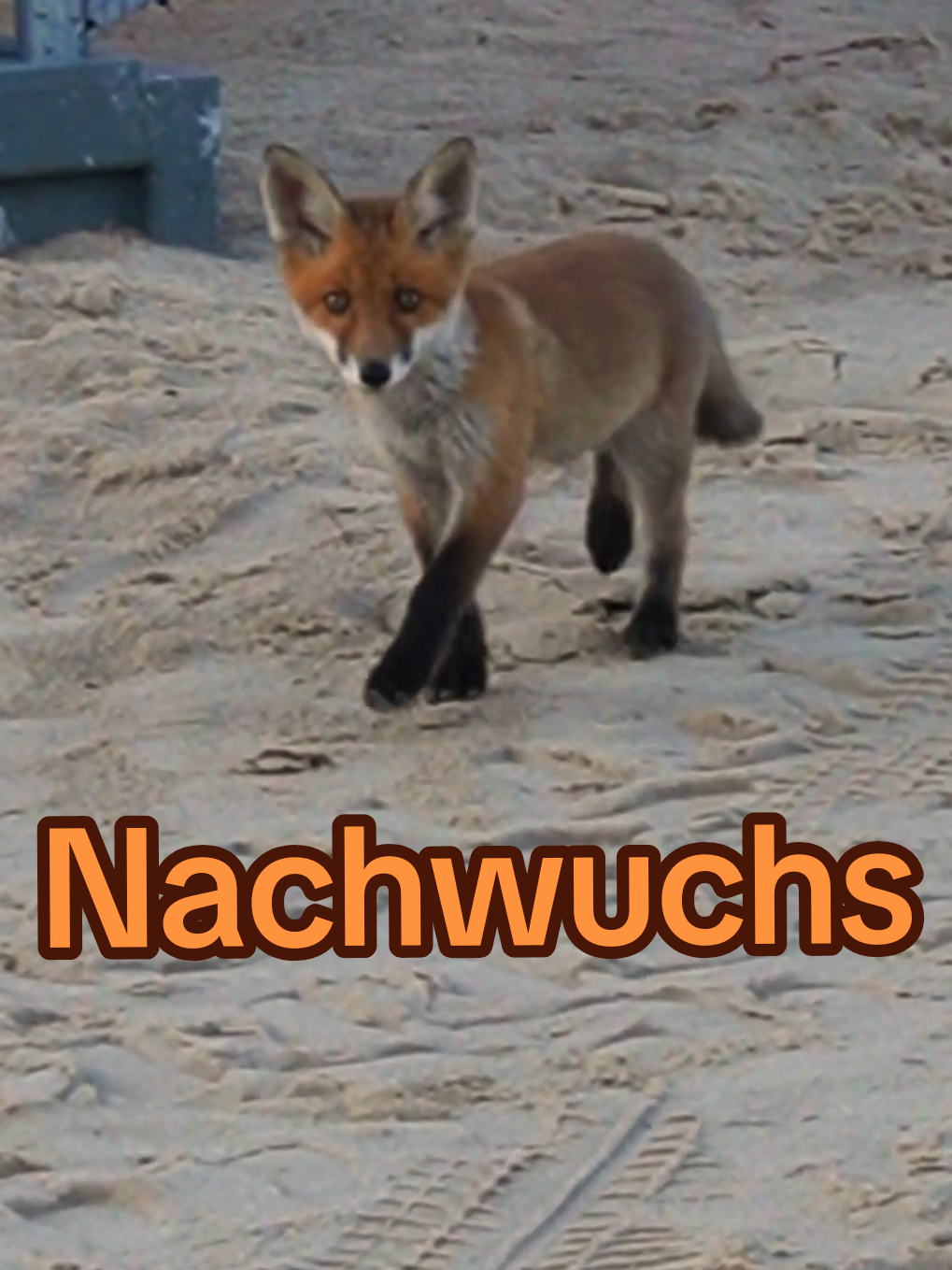 @1punkt21