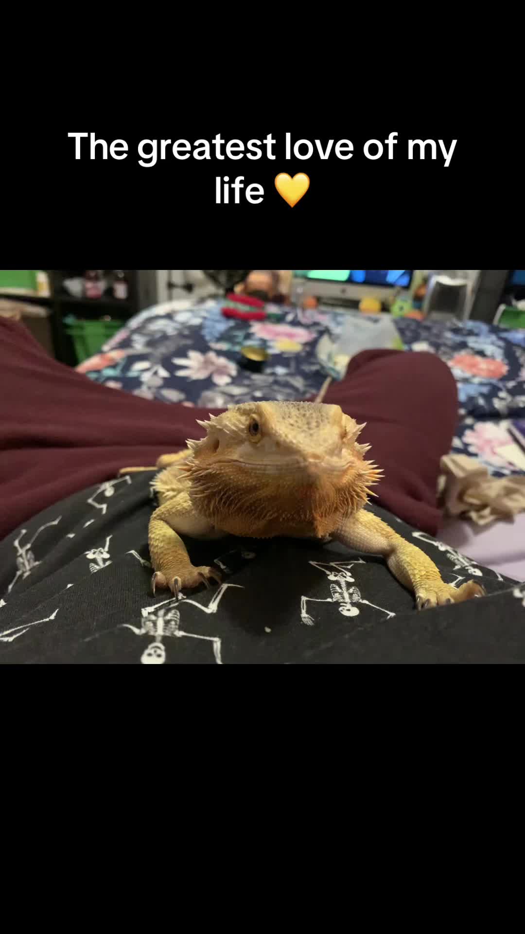@collarbonecitrus