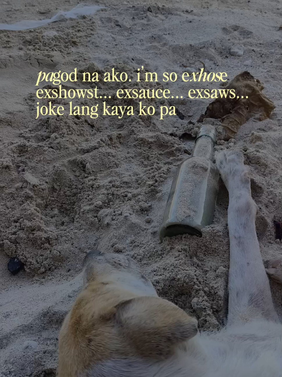 @Mrs. V𓇼ᥫ᭡𐙚𖦹⋆｡&deg;